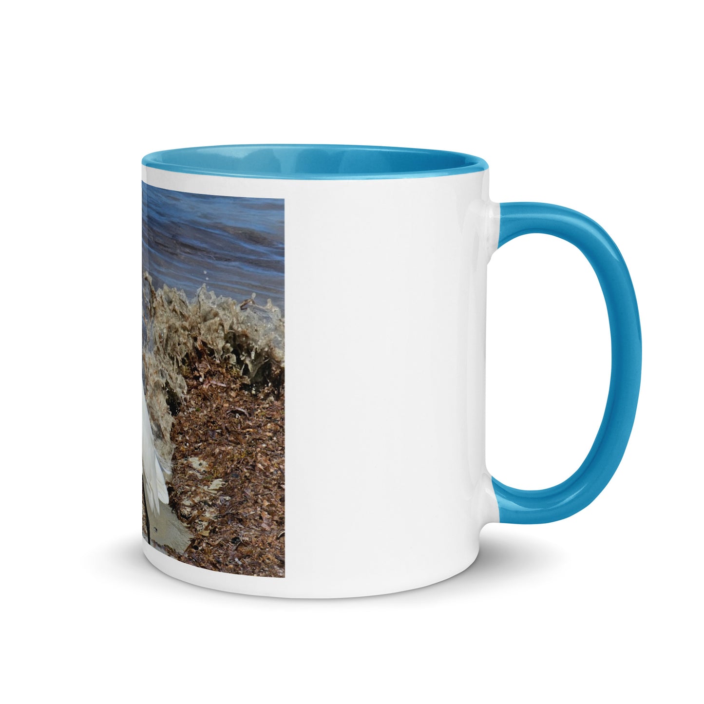 Mug with Color Inside