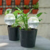 1-5PCS 500ML Plastic Automatic Plant Watering Bulbs, Globe - Shaped Self - Watering Drip Irrigation for Pots