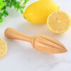 Manual Beech Lemon Juicer