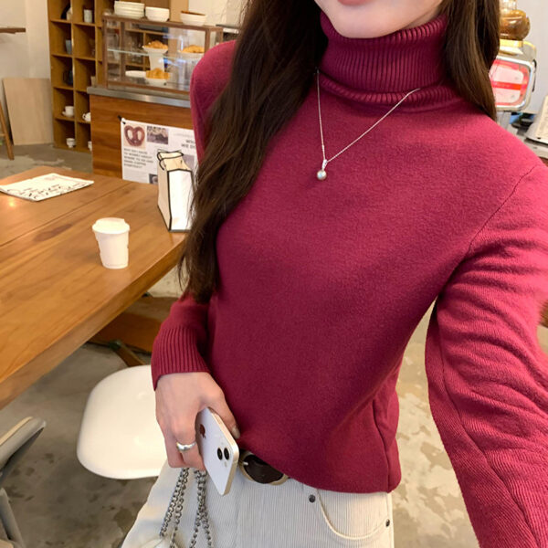 Cozy High Neck Long Sleeve Knit Sweater for Women, Thickened Fleece-Lined Inner Layer Top